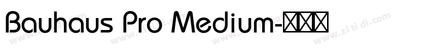 Bauhaus Pro Medium字体转换